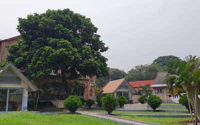Backyard of the workshop venue