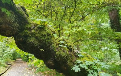 BonDiv_training2025_20251005_111710_photo by Paula Dieguez