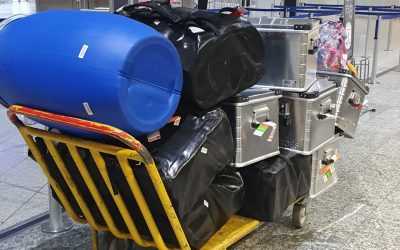 BonDiv_training2025_material6_photo by Paula Dieguez