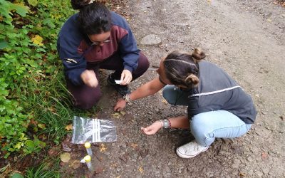 BonDiv_training2025_practice12_photo by Paula Dieguez