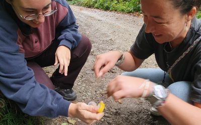 BonDiv_training2025_practice13_photo by Paula Dieguez
