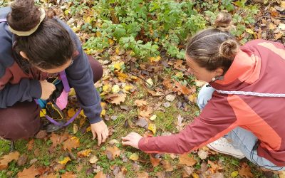 BonDiv_training2025_practice14_photo by Paula Dieguez