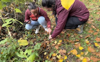 BonDiv_training2025_practice25b_photo by Francesca Grillo