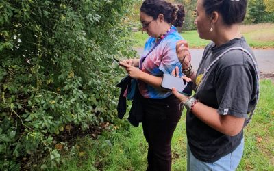 BonDiv_training2025_practice7_photo by Paula Dieguez