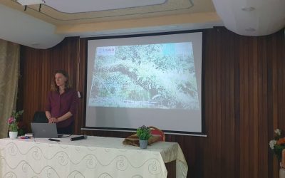 Erin Wessling, BonDiv co-director, summarizing the overall fieldwork and preliminary analysis results