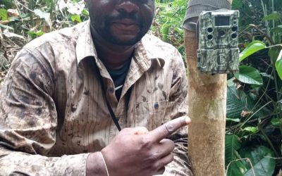 Martin Bofeko, researcher at the LacTumba BonDiv site (in collaboration with WWF-DRC and CREF), installing camera traps