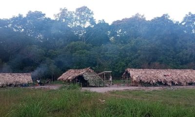 Establishing the main site. Lomami camp, photo by Dieu Merci Mpongo and Johnson Uyulu